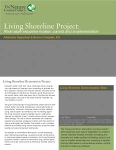 Living Shoreline Project:  Alternative estuarine erosion control and implementation Altamaha-Ogeechee Estuarine Complex, GA  Living Shoreline Restoration Project