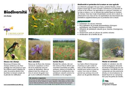 Biodiversité et protection de la nature en zone agricole Les éléments paysagers tels que haies, jachères florales, arbres fruitiers haute-tige et zones humides contribuent à la diversité de la flore et de la faune.