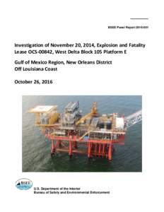 BSEE Panel ReportInvestigation of November 20, 2014, Explosion and Fatality Lease OCS-00842, West Delta Block 105 Platform E Gulf of Mexico Region, New Orleans District Off Louisiana Coast