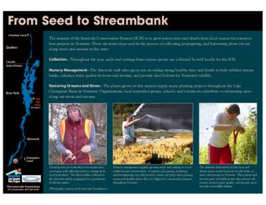 From Seed to Streambank Chambly Canal The mission of the Intervale Conservation Nursery (ICN) is to grow native trees and shrubs from local sources for conservation projects in Vermont. There are many steps used in the p