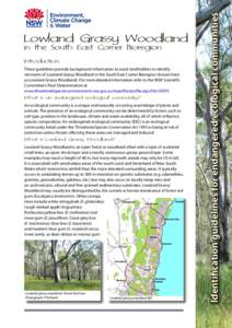Lowland Grassy Woodland in the South East Corner Bioregion – identification guidelines for the endangered ecological communities