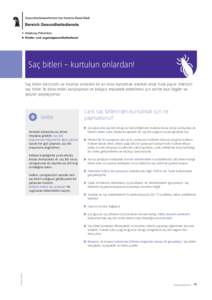 Saç bitleri – kurtulun onlardan! Saç bitleri bıktırıcıdır ve insanlar onlardan bir an önce kurtulmak isterken onlar hızla yayılır. Ailenizin saç bitleri ile daha ender karşılaşması ve kolayca mücadele 