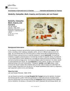 Jan van Kessel / Kessel / Insect / Still life / Pieter Bruegel the Elder / Caterpillar / Drawing / Butterfly / Jan Brueghel the Elder / Visual arts / Lepidoptera / Dutch Golden Age painters