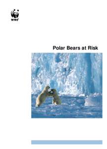 Rapport Polar Bears at Risk HMG:16