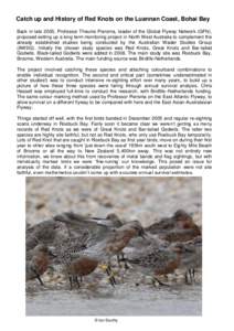 Catch up and History of Red Knots on the Luannan Coast, Bohai Bay Back in late 2005, Professor Theunis Piersma, leader of the Global Flyway Network (GFN), proposed setting up a long term monitoring project in North West 