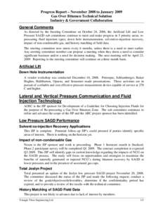 Progress Report – November 2008 to January 2009 Gas Over Bitumen Technical Solution Industry & Government Collaboration General Comments As directed by the Steering Committee on October 24, 2006, the Artificial Lift an