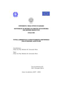 UNIVERSITA’ DEGLI STUDI DI SASSARI DOTTORATO DI RICERCA IN DIRITTO ED ECONOMIA DEI SISTEMI PRODUTTIVI CICLO XXI  TUTELA AMBIENTALE E SFRUTTAMENTO SOSTENIBILE