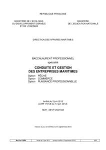 bac_ pro_cgem_3_opt_arr_05_juin_2012_verif_12_sept_2012