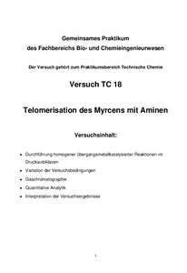 Gemeinsames Praktikum des Fachbereichs Bio- und Chemieingenieurwesen Der Versuch gehört zum Praktikumsbereich Technische Chemie Versuch TC 18