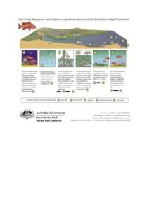 © Commonwealth of Australia (GBRMPA) for the diagram which was created by Paul Groves Courtesy of the Integration and Application Network, University of Maryland Center for Environmental Science (ian.umces.edu/symbols/)