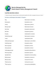 Species Managed by the South Atlantic Fishery Management Council SNAPPER GROUPER COMPLEX (* indicates Ecosystem Component Species and do not have specific ACLs, AMs or management measures in place.)  Sea basses and Group