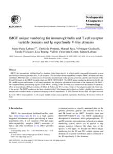 Developmental and Comparative Immunology–77 www.elsevier.com/locate/devcompimm IMGT unique numbering for immunoglobulin and T cell receptor variable domains and Ig superfamily V-like domains Marie-Paule Le