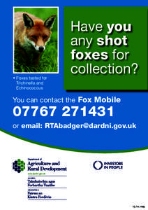 • Foxes tested for Trichinella and Echinococcus Have you any shot