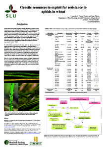 Genetic resources to exploit for resistance to aphids in wheat Leonardo A. Crespo Herrera and Inger Åhman Department of Plant Breeding, Swedish University of Agricultural Sciences, Alnarp, Sweden. 