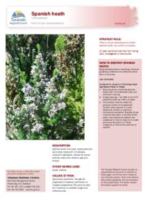 Spanish heath Erica lusitanica Number 16 STRATEGY RULE: There is no rule requiring you to control