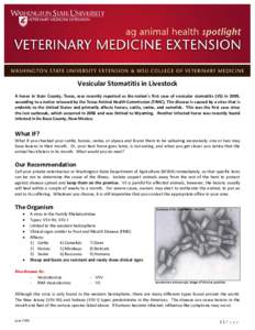 Microsoft Word - VESICULAR STOMATITIS JUNE 2009.docx