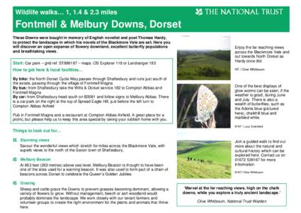 Melbury Abbas / Fontmell Magna / North Dorset / Compton Abbas / Shaftesbury / Melbury Down / Blackmore Vale / Blandford Forum / Thomas Hardy / Dorset / Counties of England / Geography of England