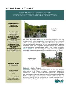 NELSON POPE & V OORHIS  Storm Water Pond Design (Creation, Restoration & Permitting)  Environmental