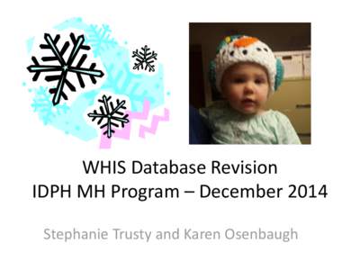 WHIS Database Revision IDPH MH Program – December 2014 Stephanie Trusty and Karen Osenbaugh Main Menu
