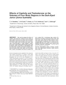 Effects of Captivity and Testosterone on the Volumes of Four Brain Regions in the Dark-Eyed Junco (Junco hyemalis) T. V. Smulders,1 J. M. Casto,2 V. Nolan, Jr.,2 E. D. Ketterson,2 and T. J. DeVoogd1 1