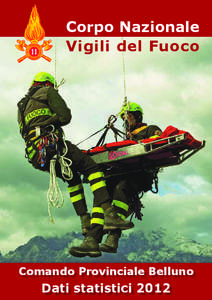 Corpo Nazionale Vigili del Fuoco Comando Provinciale Belluno  Dati statistici 2012