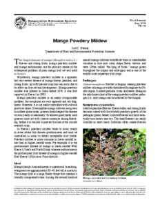 Oidium mangiferae / Powdery mildew / Mango / Mildew / Oidium / Plant pathology / Uncinula necator / Fungicide use in the United States / Biology / Leotiomycetes / Microbiology