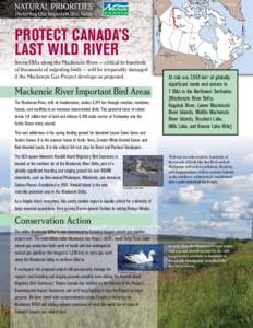PROTECT CANADA’S LAST WILD RIVER Seven IBAs along the Mackenzie River – critical to hundreds of thousands of migrating birds – will be irreparably damaged if the Mackenzie Gas Project develops as proposed.