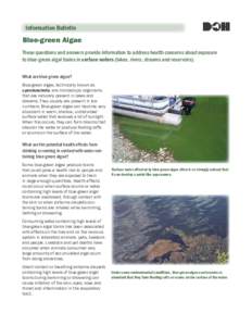 Information Bulletin  Blue-green Algae These questions and answers provide information to address health concerns about exposure to blue-green algal toxins in surface waters (lakes, rivers, streams and reservoirs). What 