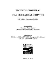 Microsoft WordWFHI Tech Report.doc
