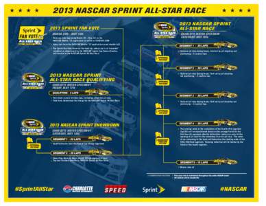 2013_NSASR_FormatGrid_FNL