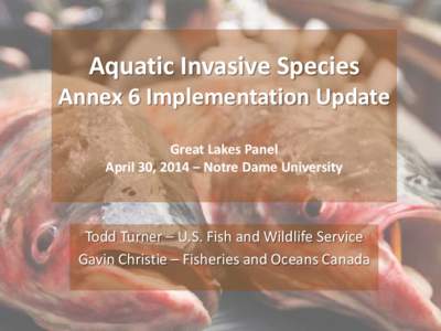 Aquatic Invasive Species  Annex 6 Implementation Update Great Lakes Panel April 30, 2014 – Notre Dame University