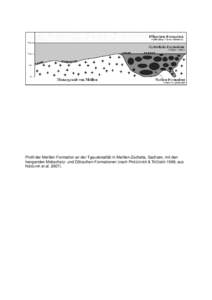 Profil der Meißen-Formation an der Typuslokalität in Meißen-Zscheila, Sachsen, mit den hangenden Mobschatz- und Dölzschen-Formationen (nach PRESCHER & TRÖGER 1989; aus NIEBUHR et al. 2007).