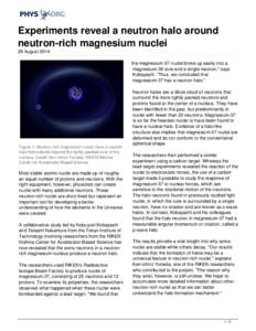 Experiments reveal a neutron halo around neutron-rich magnesium nuclei