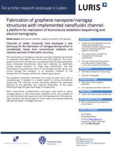 For a richer research landscape in Leiden  Fabrication of graphene nanopore/nanogap structures with implemented nanofluidic channel:  a platform for realization of biomolecule detection/sequencing and