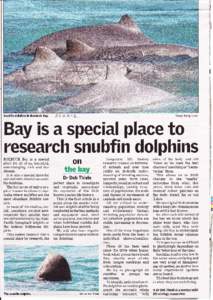 Snubfin dolphins in Roebuck  Bay. 23 O