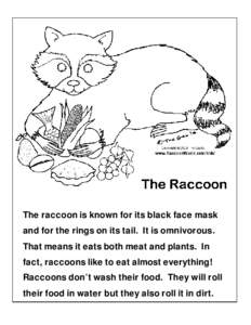 The raccoon is known for its black face mask and for the rings on its tail. It is omnivorous. That means it eats both meat and plants. In fact, raccoons like to eat almost everything! Raccoons don’t wash their food. Th