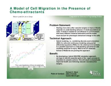 A Model of Cell Migration in the Presence of Chemo-attractants Problem Statement: •