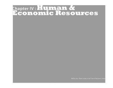 Human & Economic Resources Chapter IV :  RailCats fans. Photo courtesy of the Times of Northwest Indiana.