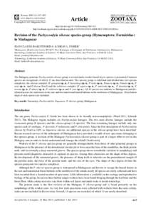 Revision of the Pachycondyla sikorae species-group (Hymenoptera: Formicidae) in Madagascar