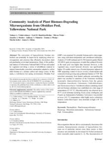 Microb Ecol DOI[removed]s00248[removed]ENVIRONMENTAL MICROBIOLOGY  Community Analysis of Plant Biomass-Degrading
