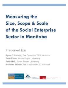 Microsoft Word - Measuring the size, scope and scale[removed]pe.docx