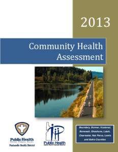 Microsoft Word - Community Health Profile