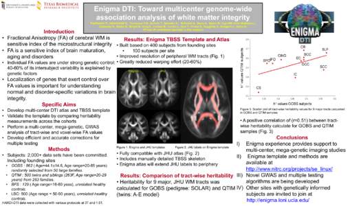 Enigma DTI: Toward multicenter genome-wide association analysis of white matter integrity Kochunov P, Jahanshad N., Thompson P.M., Nichols T., Sprooten E., McIntosh A, Deary A, Bastin M, Toga AW, Katie McMahon L, Zubicar