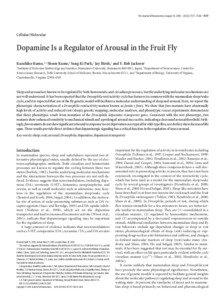 The Journal of Neuroscience, August 10, 2005 • 25(32):7377–7384 • 7377  Cellular/Molecular