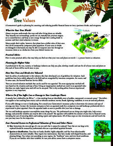 Tree Values A homeowner’s guide to planning for, assessing, and reducing possible financial losses on trees, specimen shrubs, and evergreens. What Are Your Trees Worth? Almost everyone understands that trees and other 