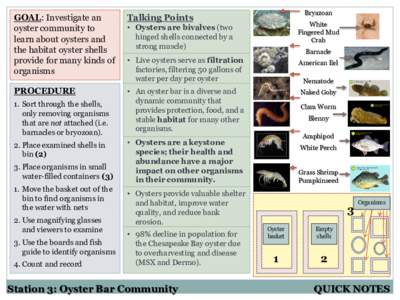 GOAL: Investigate an oyster community to learn about oysters and the habitat oyster shells provide for many kinds of organisms