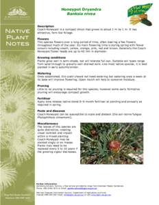 Eudicots / Phytophthora cinnamomi / Banksia