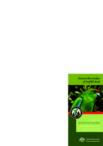 Geology / Bird / Seabird / Phillip Island / Norfolk Island Pacific Robin / Norfolk Island Golden Whistler / Norfolk Island / Common Emerald Dove / Masked Booby / Neognathae / Birds of Australia / Volcanism