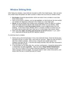 Window Striking Birds After flying into windows, many birds are stunned or suffer from head trauma. Here are some very simple steps that people can take to avoid or reduce the occurrence of window strikes:  Bird feede