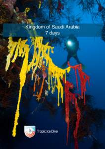 Kingdom of Saudi Arabia 7 days Travel Description The diving in Saudi-Arabia is often described like the Egyptian side of the Red Sea 30 years ago and there are virtually no divers! There are only 3 live-aboard boats al